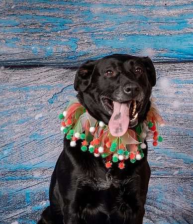 Foster Beatrice-4032