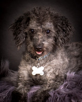 Foster Mokey-1345