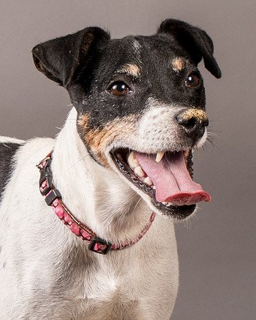 Foster Pollyanna-3939