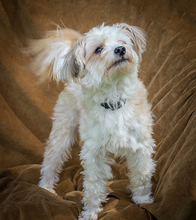 Foster Ricardo-8740