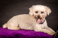 Foster Mae-8960