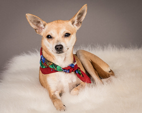 Foster Rosanna-3872