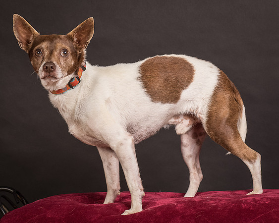 Foster Gus-0396