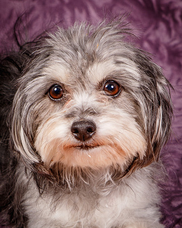 Foster Alex-6265