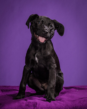 Buddy Kline-0919