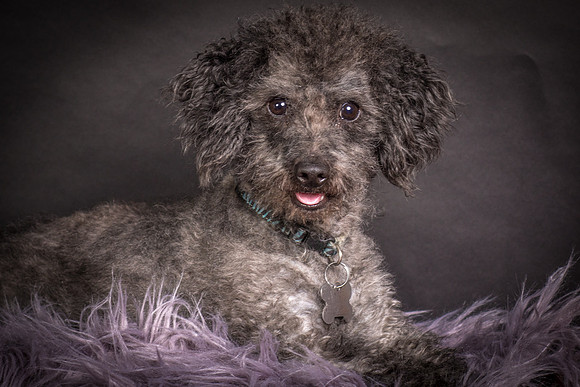 Foster Mokey-1386