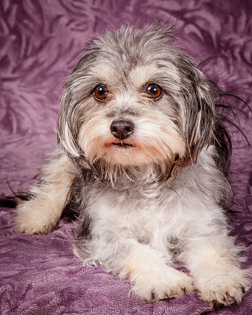 Foster Alex-6259