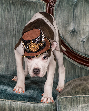 Foster Luna-4675