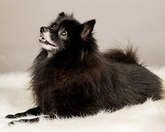 Foster Wayne-8119