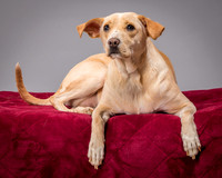 Foster June-3485