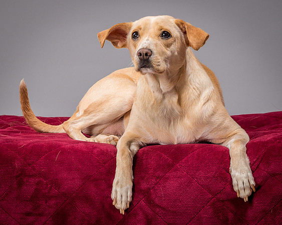 Foster June-3485