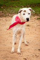 Carley-1148
