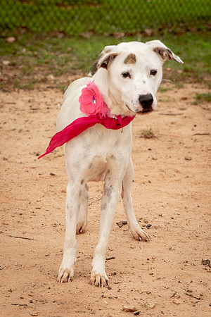 Carley-1148