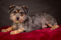 Foster Nadine-9589