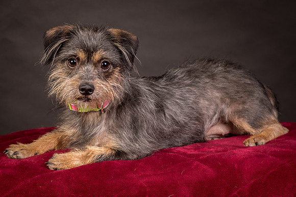 Foster Nadine-9589