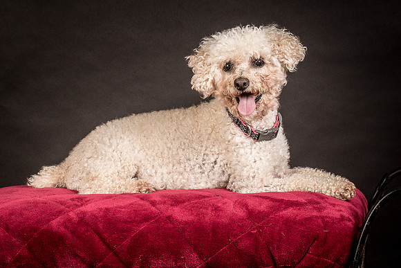Foster Mae-9018