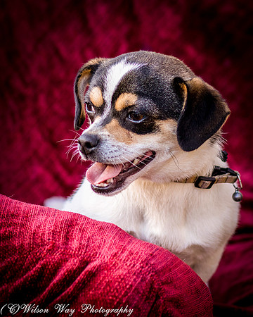 Foster Jethro-6