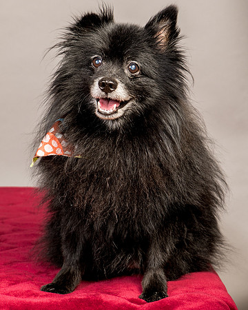 Foster Wayne-7958