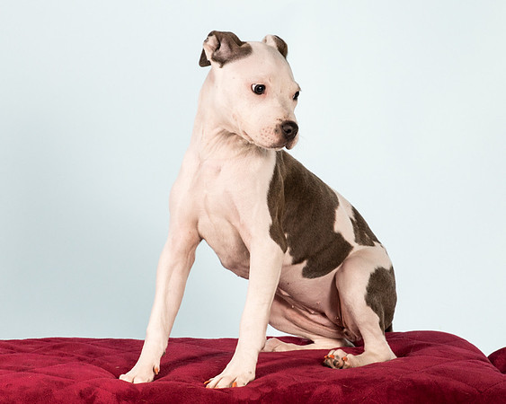 Foster Luna-4695