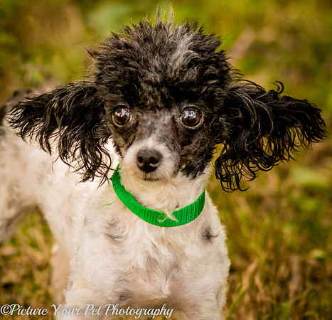 Foster Lillian-3011