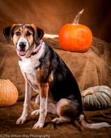 Molly-4413