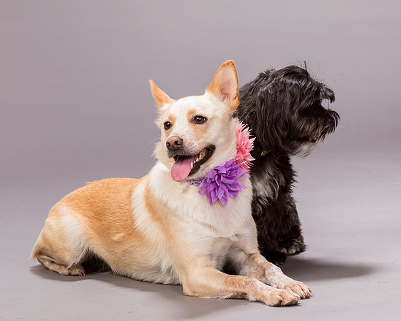 Maggie and Henry-7165