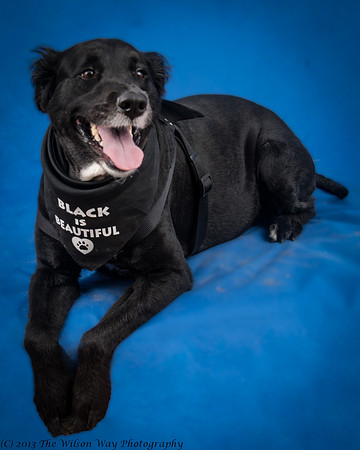 Denver and Huck-9397