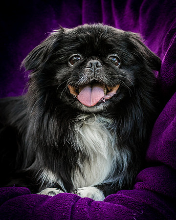 Foster Prince-0973
