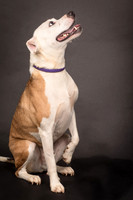 Foster Bowie-1256
