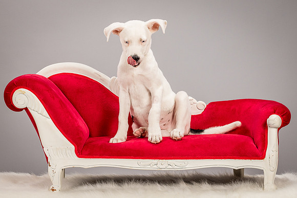 Foster Alvin-4732