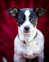 Foster Haylie-4020