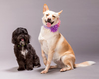 Maggie and Henry-7142