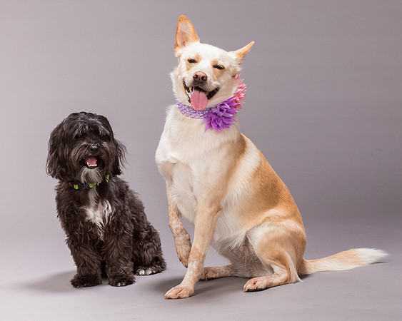 Maggie and Henry-7142