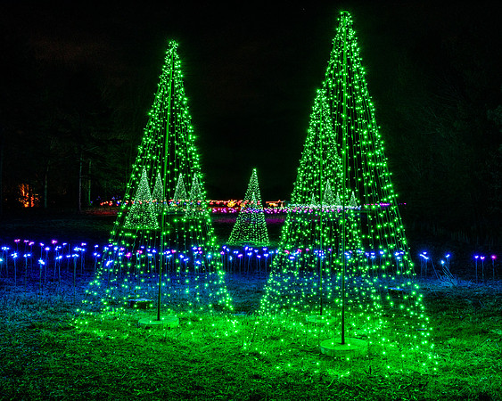 Christmas-2790