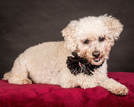 Foster Mae-9083