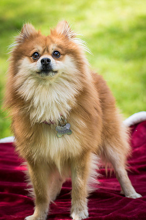 Foster Quincy-7794