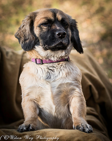 Foster Trudy-7