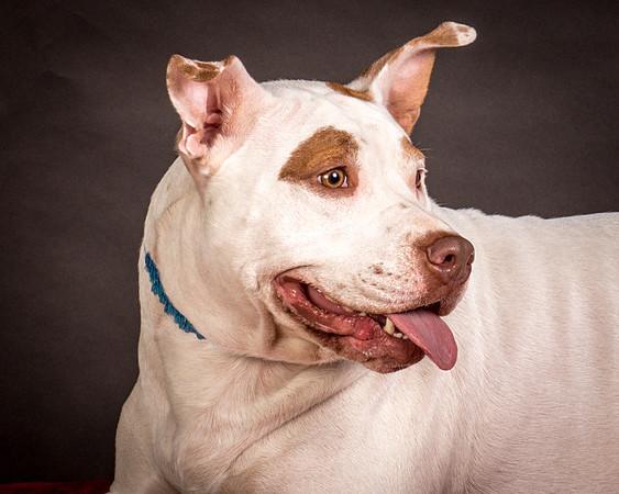 Foster Joanie-0482