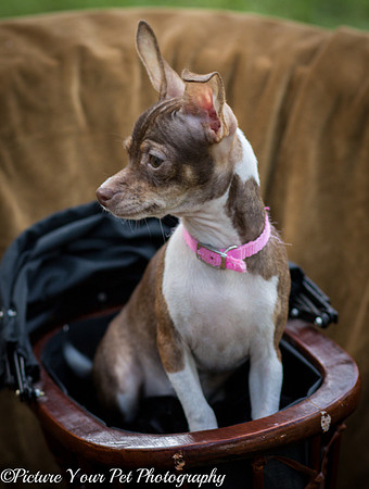 Foster Joanie-3794