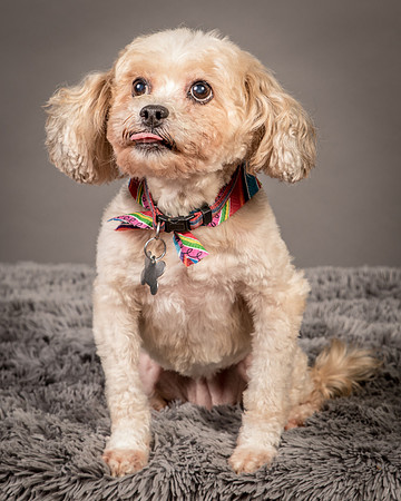 Foster Kya-8361