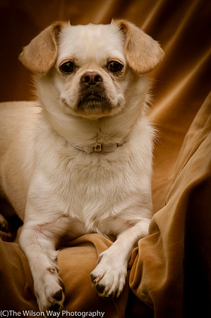Foster Bonnie-3030