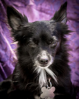 Foster Julio-6285