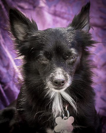 Foster Julio-6285