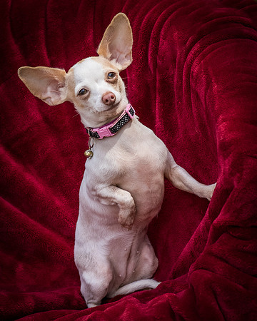 Foster Mrs C-8069