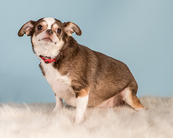 Foster Sophie-5196