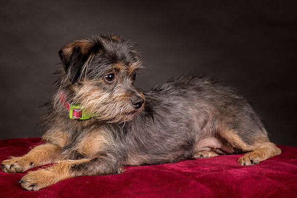 Foster Nadine-9607