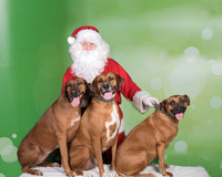 Santa Claus-3293