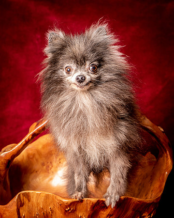 Foster Loretta-1344