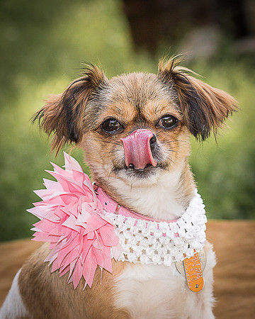 Foster Missy-0542