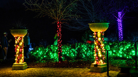 Christmas-2564